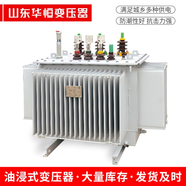 S13-10000/35廊坊廊坊廊坊电力变压器